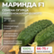 МАРИНДА F1 семена огурца партенокарпического (Seminis)