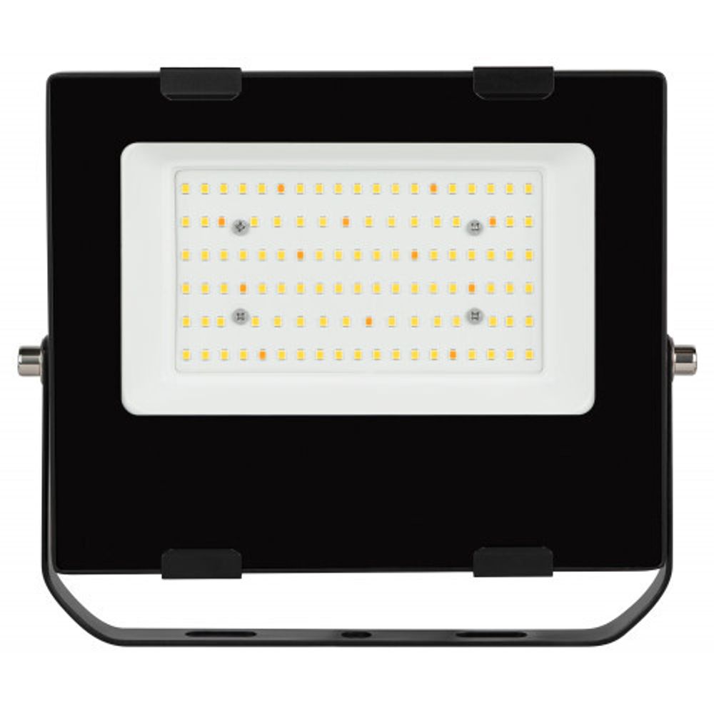 Фитопрожектор для растений светодиодный ЭРА FITO-100W-Ra90-LED для цветения и плодоношения полного спектра 100 Вт