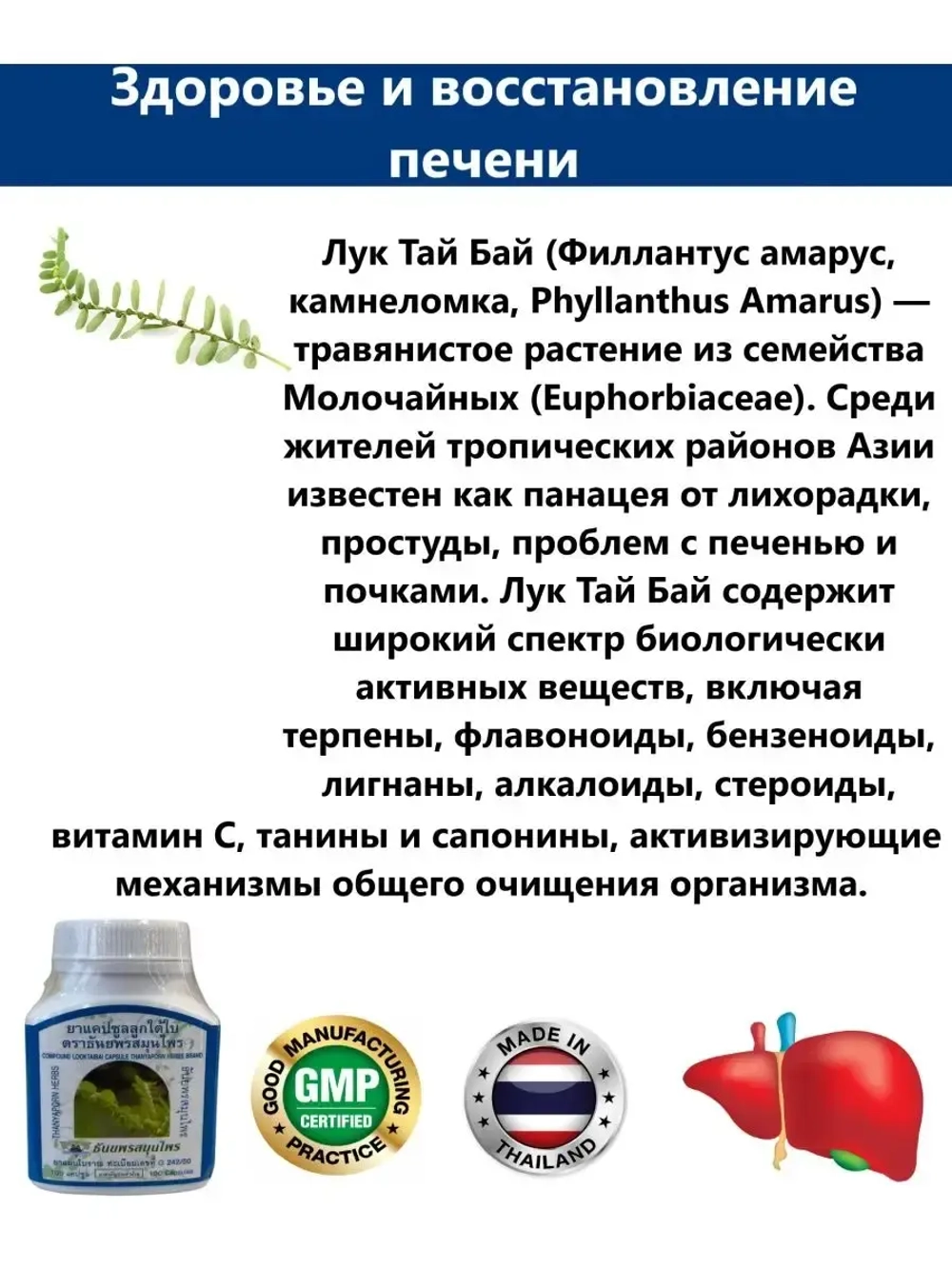 Экстракт Лук Тай Бай для очищения печени и почек
