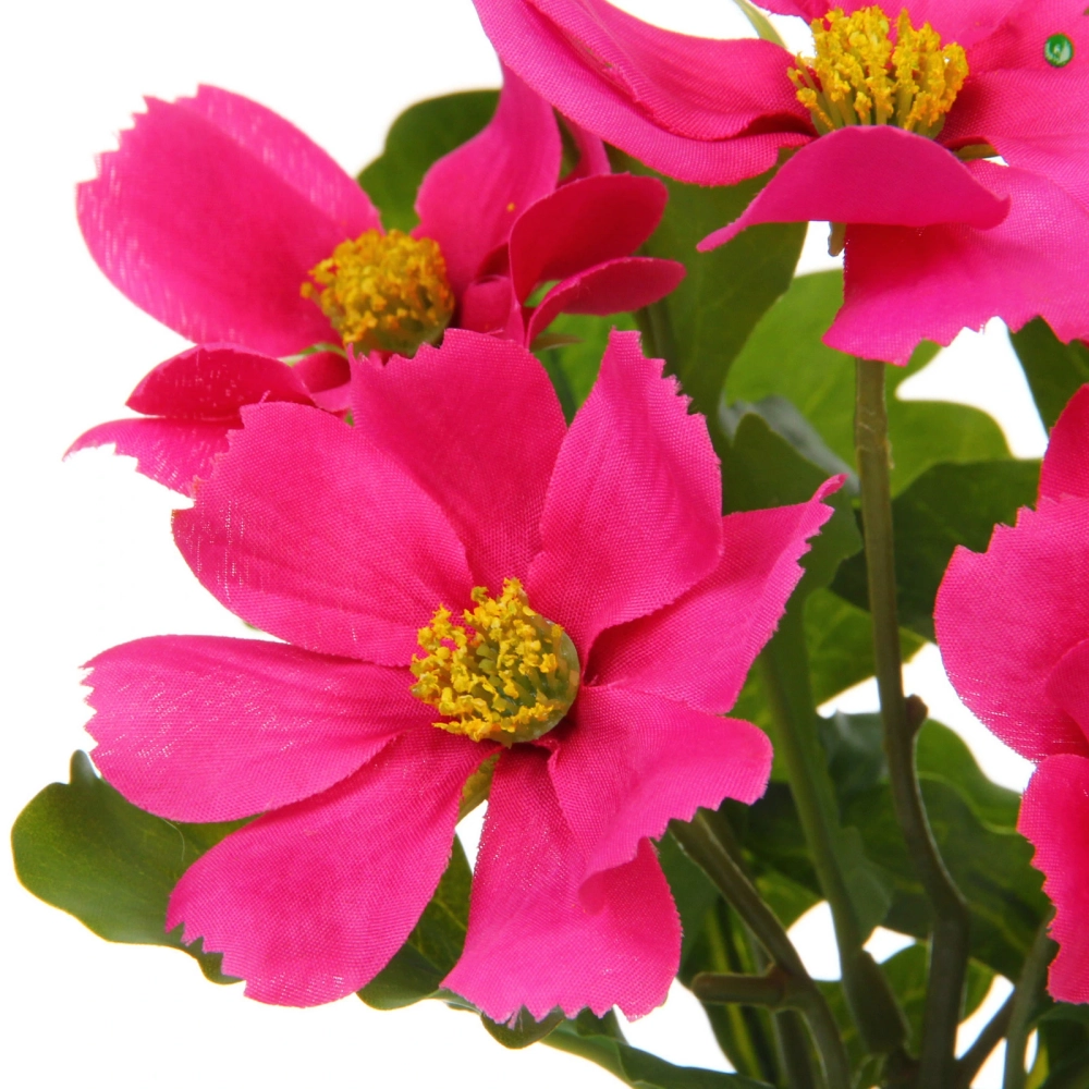 Цветочная композиция «Поцелуй лета» Космея ярко-розовая 20см