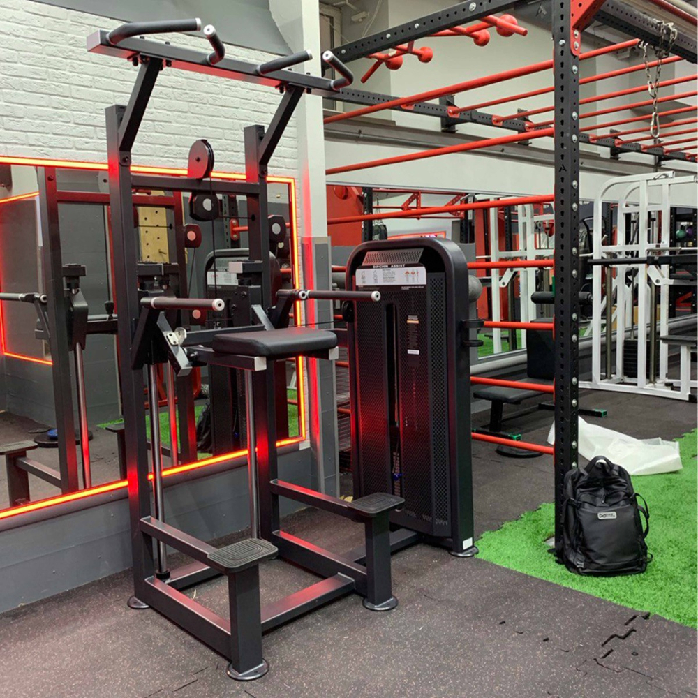 U3009D Турник, брусья с противовесом. Стек 99 кг