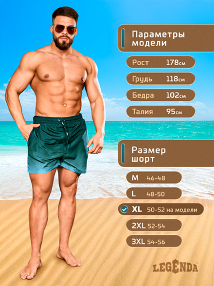 Шорты плавки Gradient LEGENDA укороченные синий