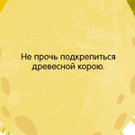 Книжка с окошками. Малыши в лесу