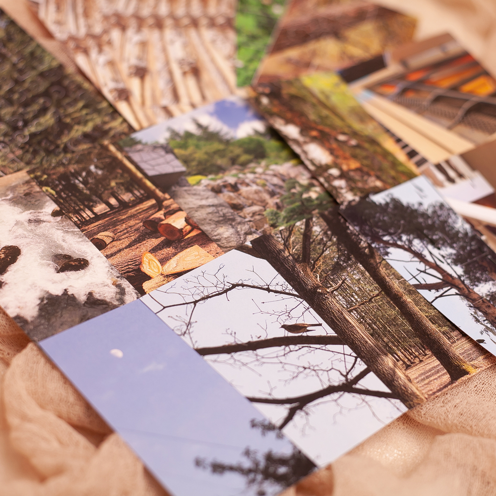 Набор "Фотопленка" 📌