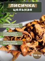 Лисичка цельная