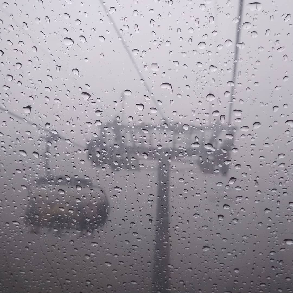 Грифон