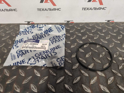 Кольцо уплотнительное Y172-015004