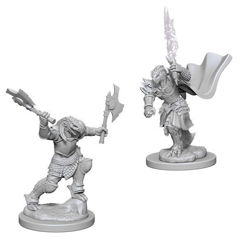 D&amp;D Nolzur&#39;s Marvelous Miniatures - Female Dragonborn Fighter