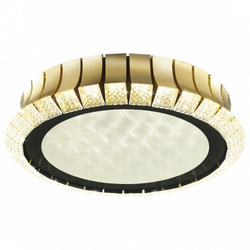 Накладная люстра Odeon Light 4994/75L