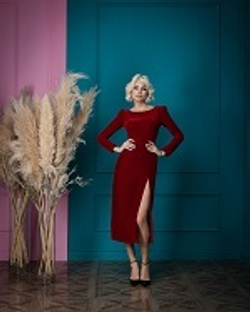 11-01-24 FW Бархатное платье c глубоким разрезом, бордовый XS