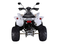 Квадроцикл RATO RТ250SТ-2