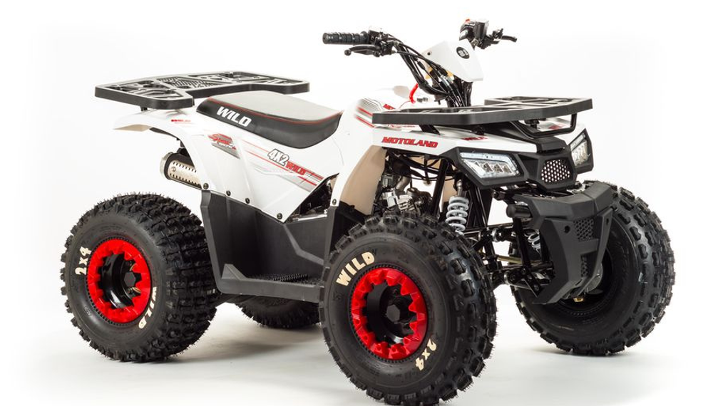 Квадроцикл MOTOLAND (МОТОЛЕНД) 125 WILD