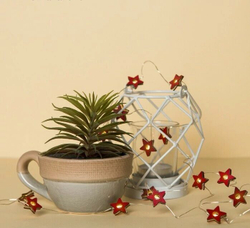 НИТЬ, 2 м, "Роса", с насад, "Звезда красная", LED-20-3V, 2*АА (не в компл), фиксинг,Т/БЕЛЫЙ