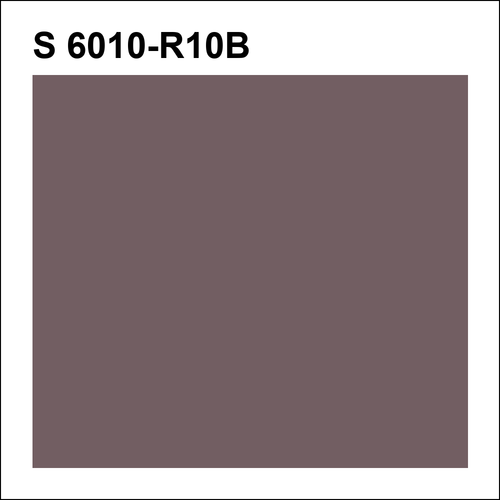 S 6010-R10B за кг