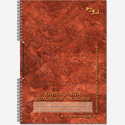 Книга учета доходов и расходов 50 листов