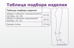 Гольфы Интекс мужские 2 класс компрессии