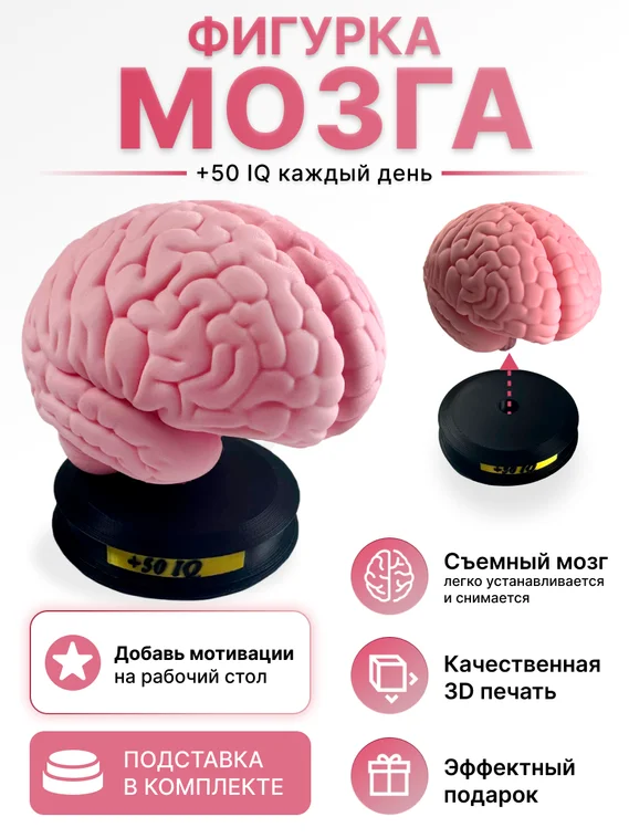 Фигурка мозг на подставке, 3D-печать, декоративный сувенир