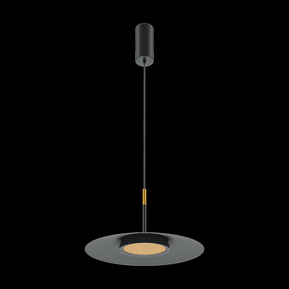 Подвесной светильник Maytoni MOD041PL-L15B3K1