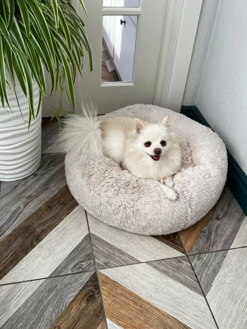 Лежанка для кошек лежак для собак домик