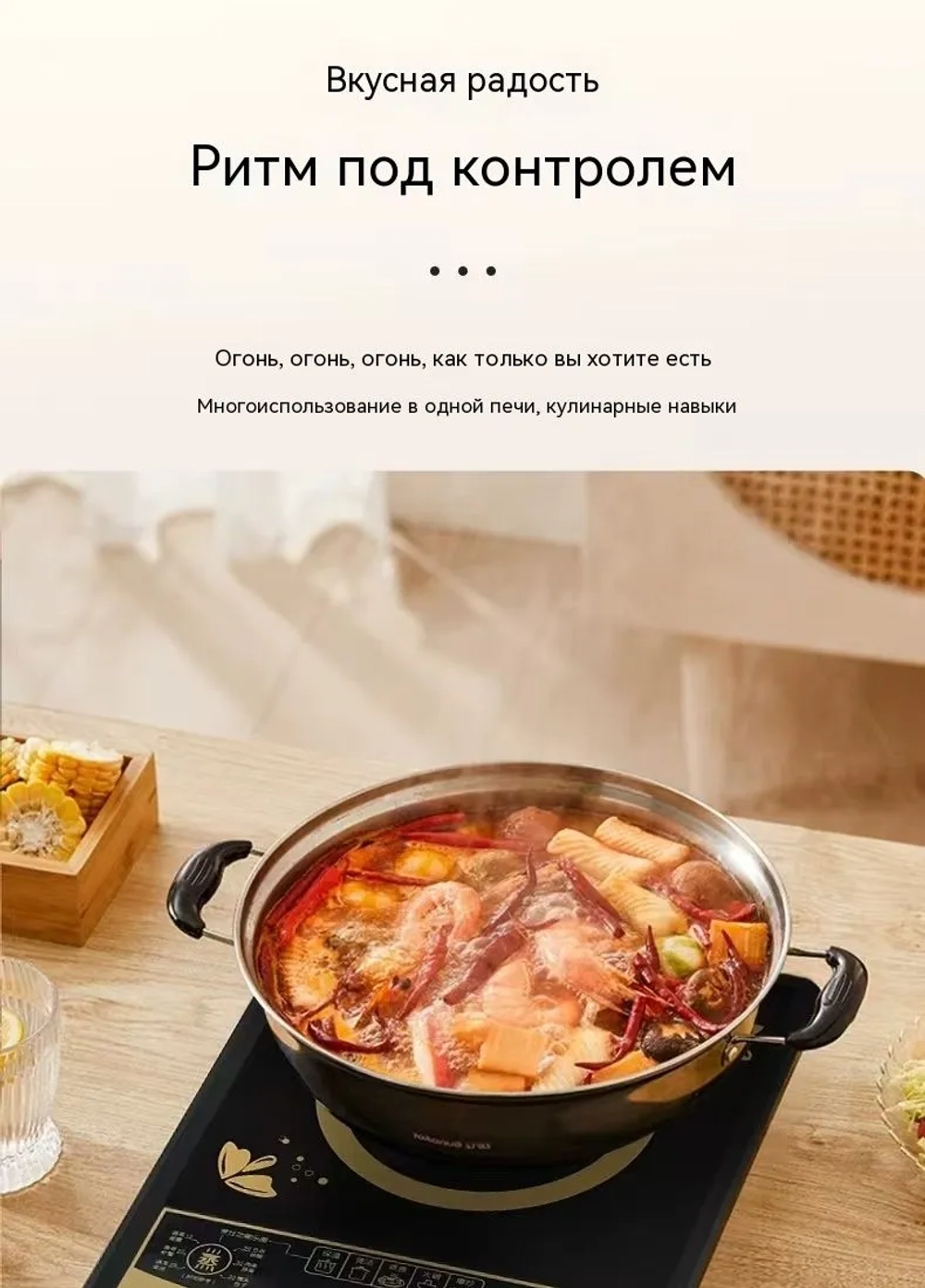 Комбинированная настольная плита, черный матовый