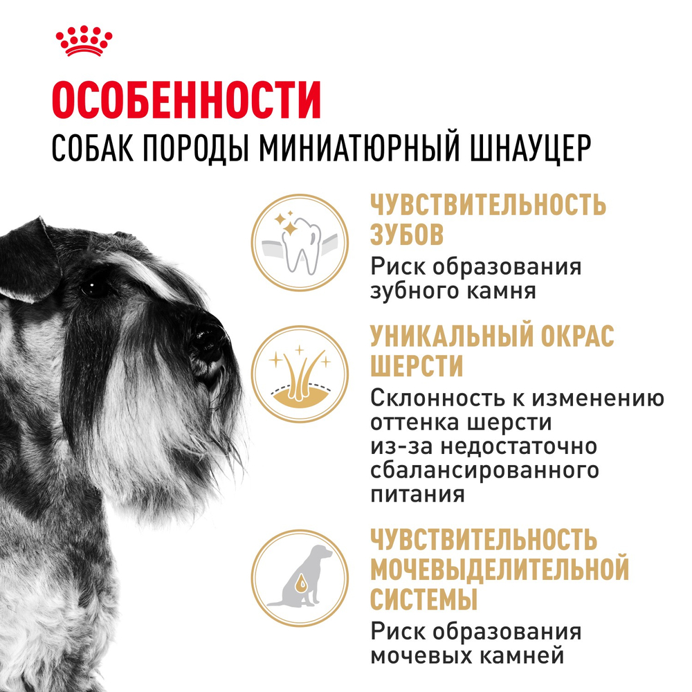 Royal Canin Miniature Schnauzer Adult Миниатюрный Шнауцер Эдалт Корм сухой для взрослых собак породы Миниатюрный Шнауцер от 10 месяцев 3кг