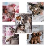 Тетрадь 24л, клетка, Brauberg Питомцы