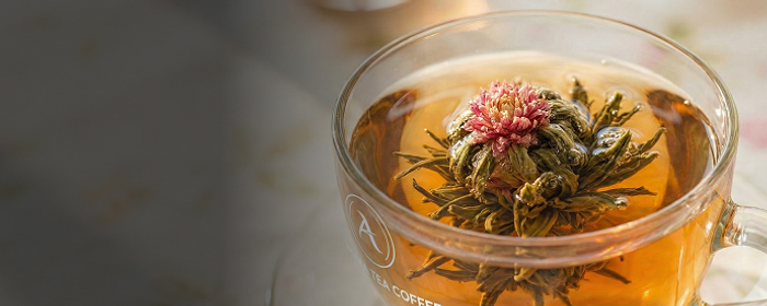 Жасмин Клевер