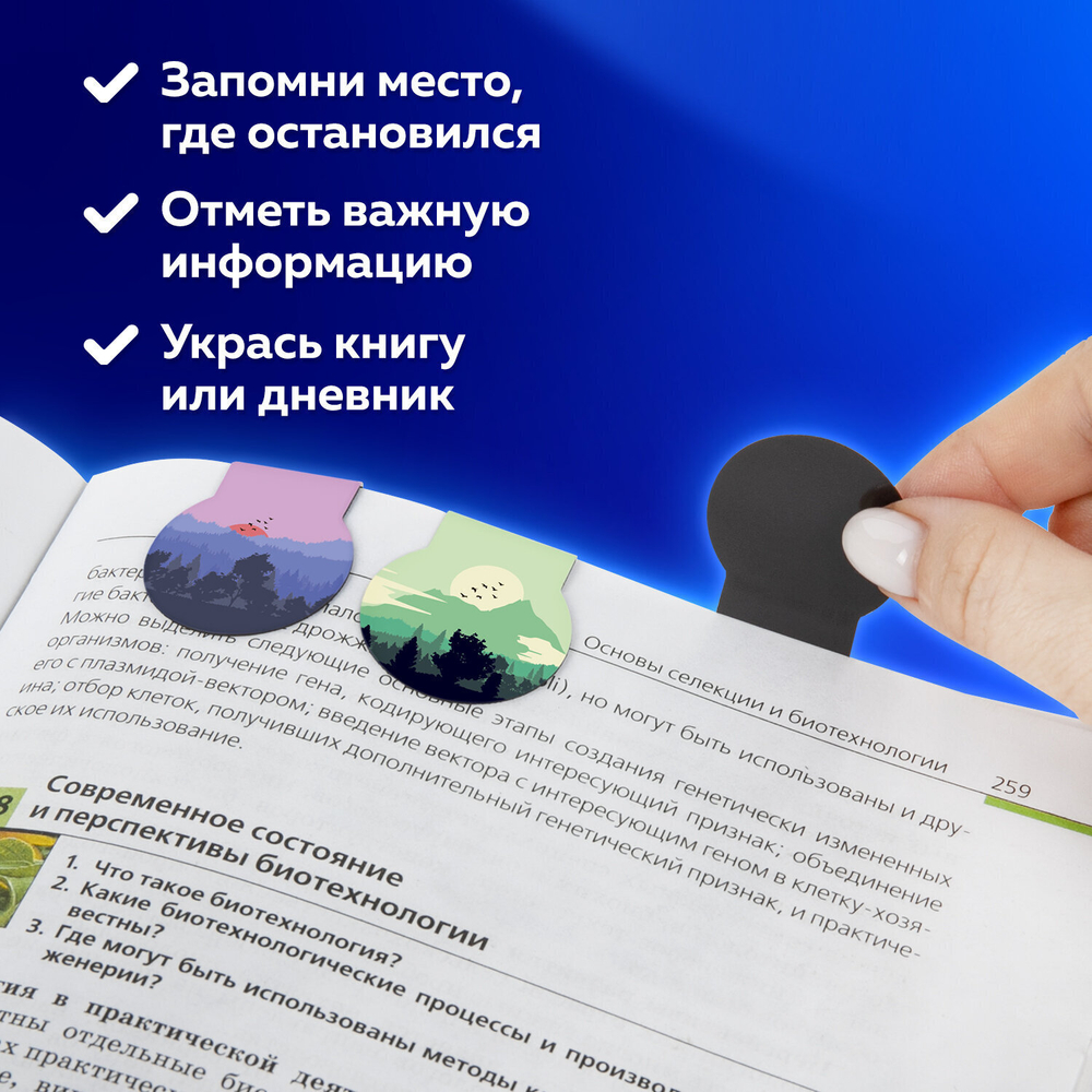 Закладки для книг МАГНИТНЫЕ "SUNSET" набор 6 шт. 32х28 мм BRAUBERG (10 штук в упаковке)