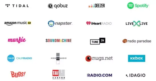 Усилитель Bluesound PowerNode N330 Black