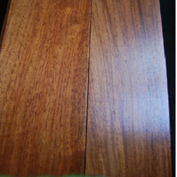 Паркет Лингуа