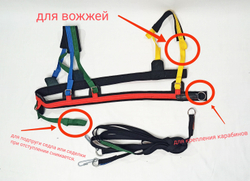 Шлейка для катания на ватрушке для пони и ослика, скиджоринг - разноцветная