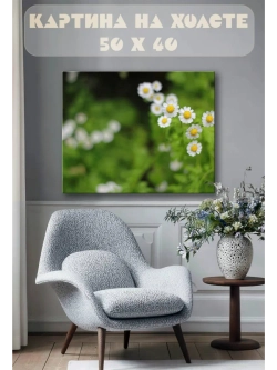 Картина на стену 40 X 50 Ромашка