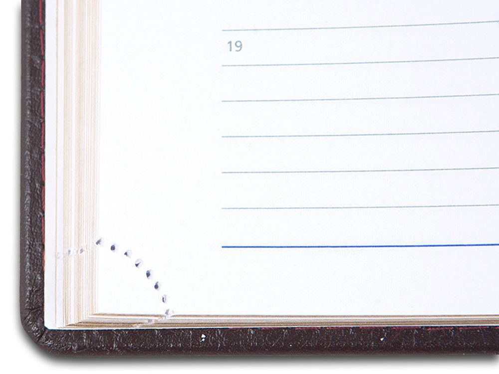 Ежедневник Letts Global Deluxe A5 белые страницы золотой срез (412 127243)