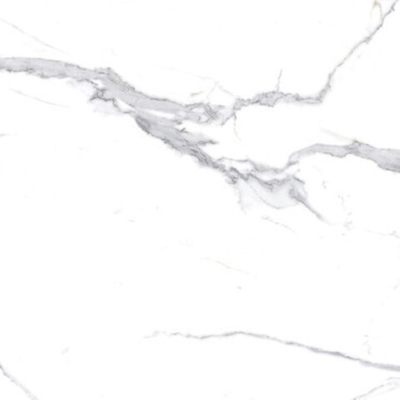 Керамогранит Calacatta Splendid Silver белый Матовый 60