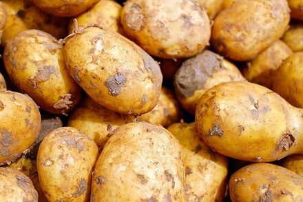 Беби-Картофель Молодой, 1 кг