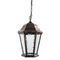 Уличный подвесной светильник Arte Lamp Genova A1205SO-1BN