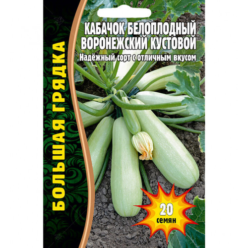Кабачок белоплодный Воронежский кустовой