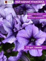 Петуния грандифлора Дэдди Блю F1