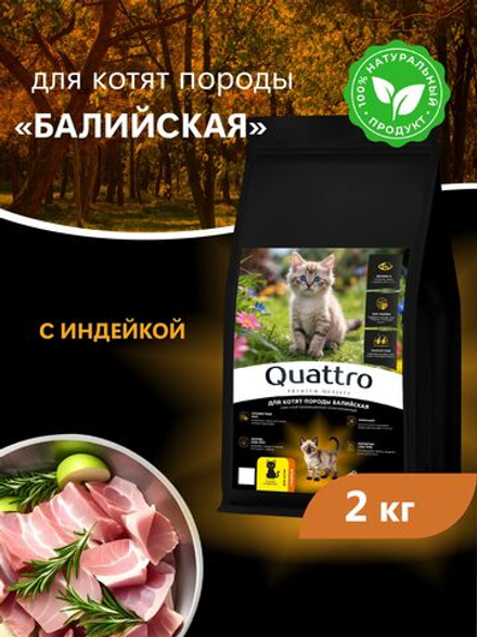 Корм сухой для котят породы Балийская, с индейкой, 2 кг, QUATTRO