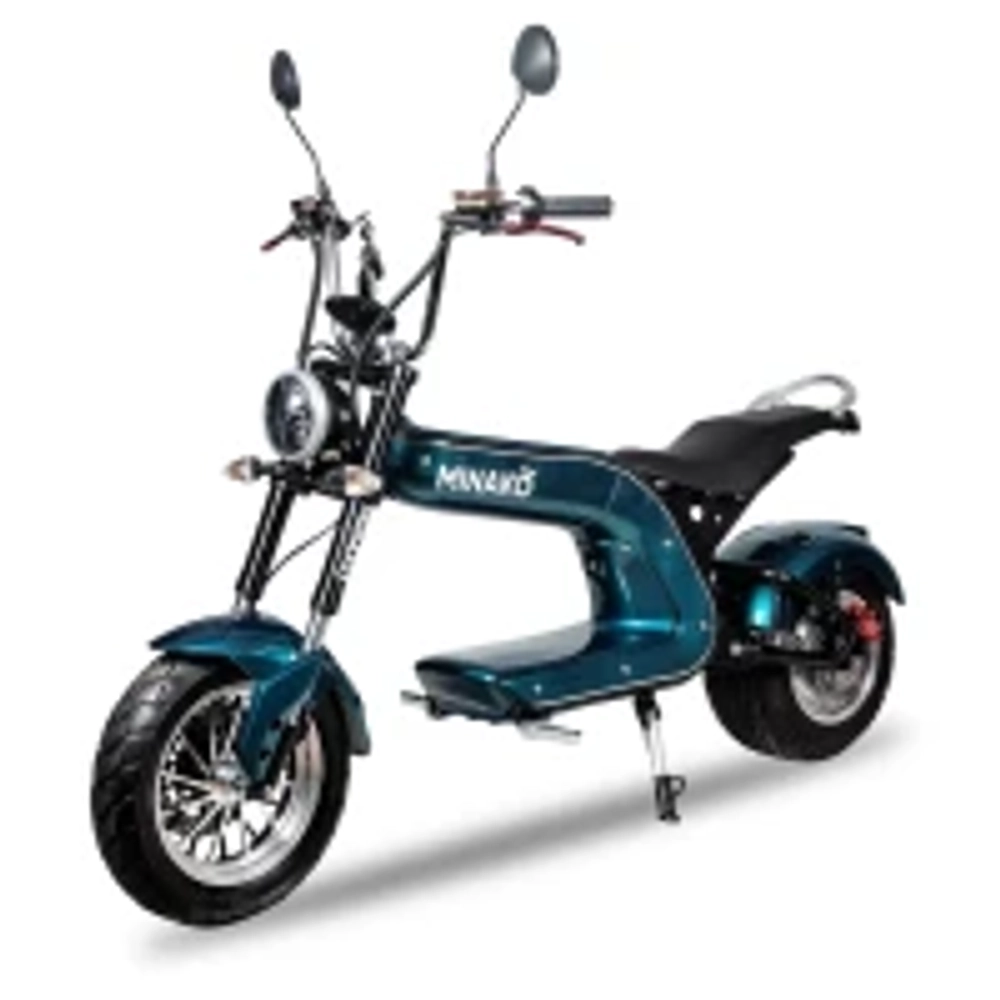 ЭЛЕКТРОСКУТЕР CITYCOCO GT X5 TRIKE 1500W 15AH 48V Карбон