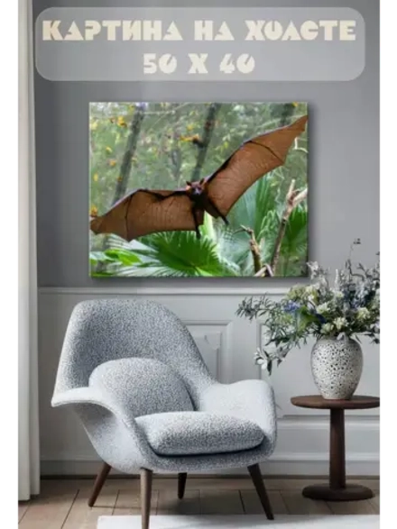Картина на стену 40 X 50 Летучая мышь