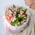 Альстромерия "S"