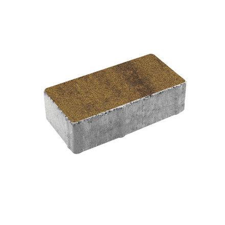 Тротуарная плитка ПРЯМОУГОЛЬНИК 200x100 мм - Листопад гранит Янтарь