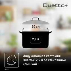 Кастрюля с крышкой Tefal Duetto+ 2.9 л 20 см G7194456