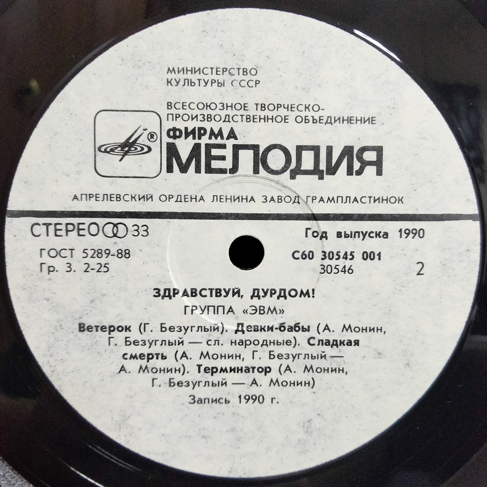 ЭВМ / Здравствуй, Дурдом! (LP)