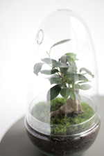 Экосистема Shell mini