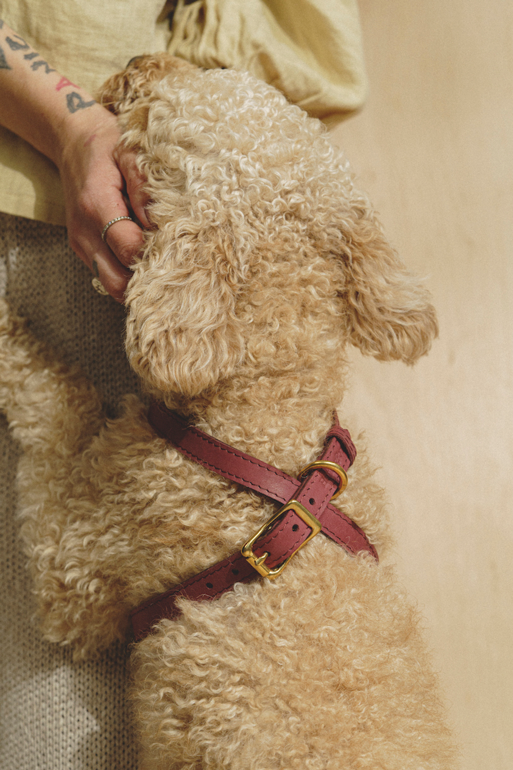 Цельнокожаная шлейка Винный