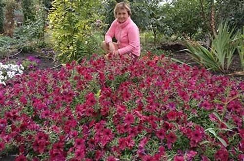 Новогодний праздничный набор "ЦВЕТОЧНЫЙ"