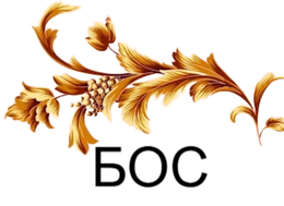 БОС (рф)
