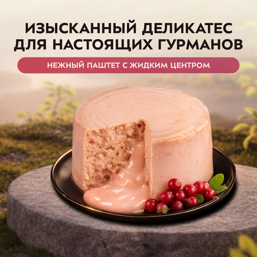 Влажный корм Мнямс Деликатес "Фондан" из мяса курицы с клюквой для стерилизованных кошек 80 г